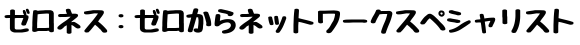 ゼロネス:ゼロからネットワークスペシャリスト